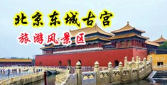 欧美图区逍遥社区淫色网中国北京-东城古宫旅游风景区